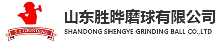 Shandong Shengye Grinding Ball Co., Ltd. logo