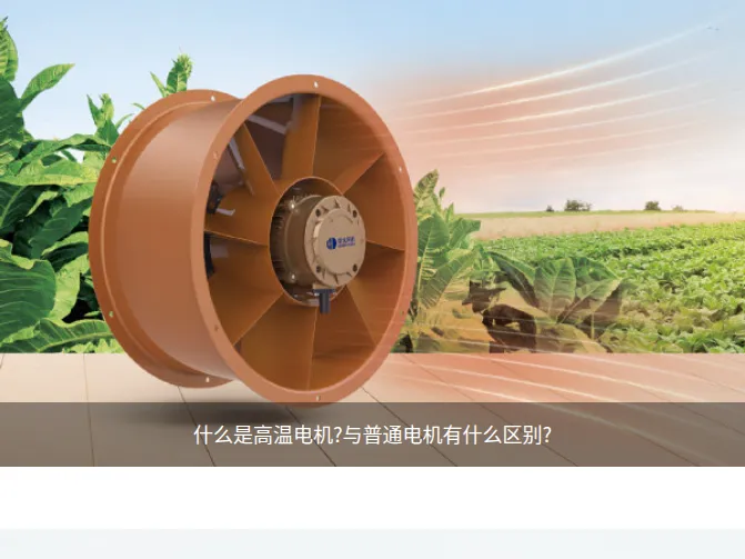 Product photo from the company website