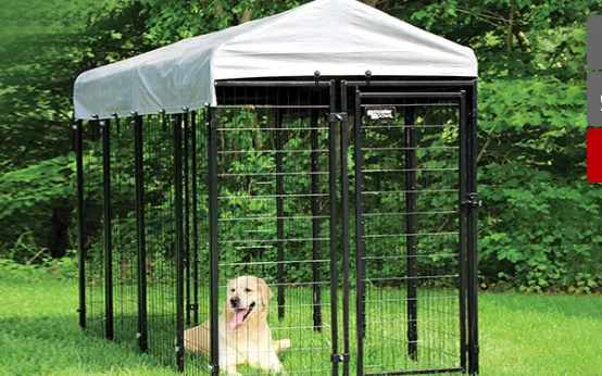 Pet Products