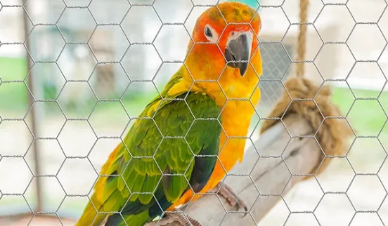 Wire Mesh