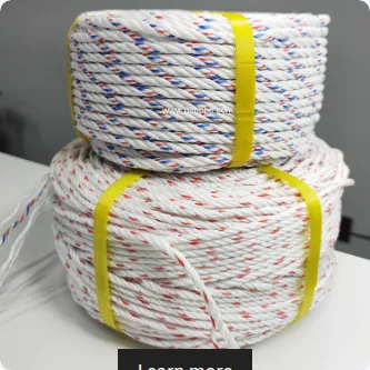 Manufacturer Hot Sale Twisted PP Polypropylene Rope 3 Strands Rope 3MM 4MM 12MM 16MM PP Danline Fishing Rope 200M 220M