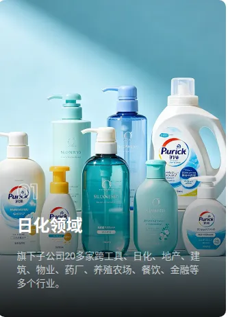 Product photo from the company website