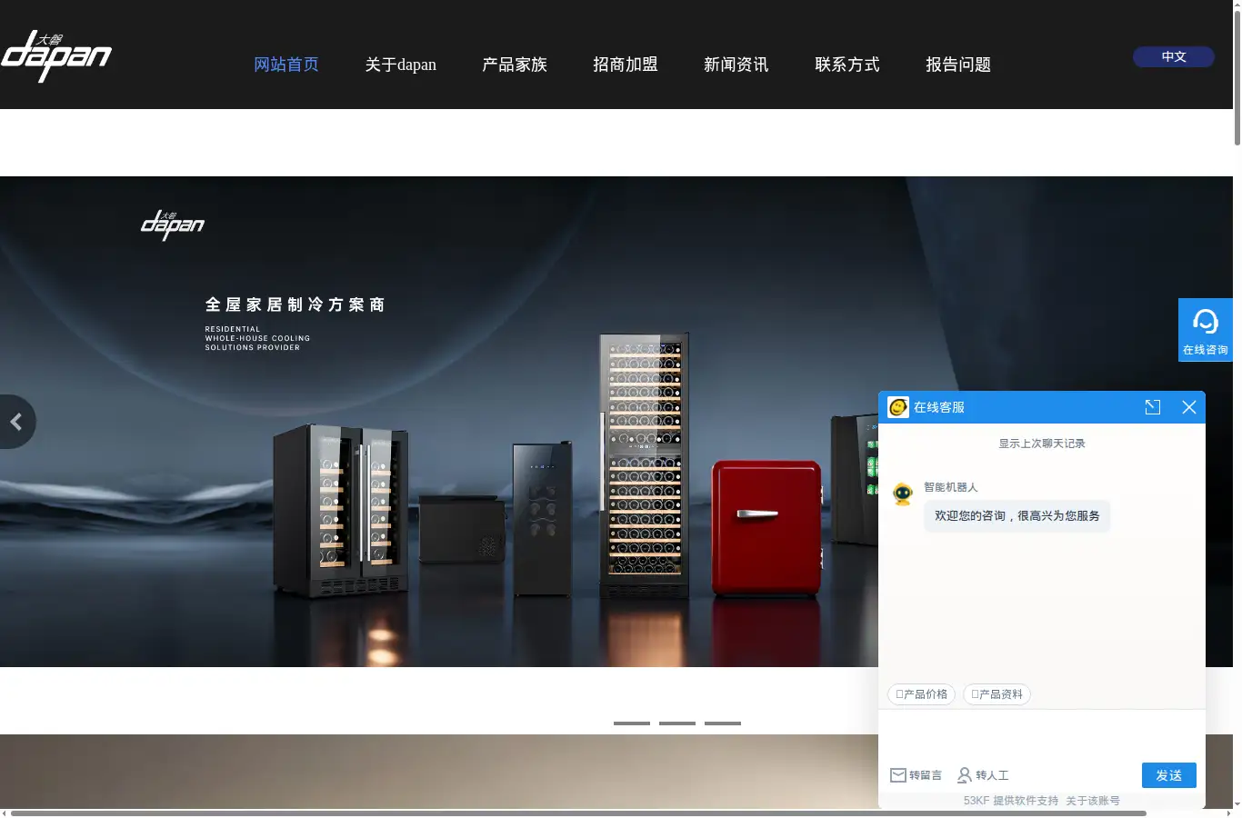dapanproducts.com homepage screenshot