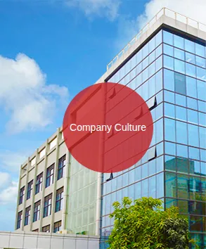 Company Culture