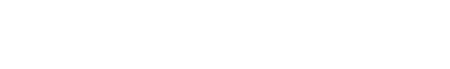 Shanghai Foreign Trade (Pudong) Co., Ltd. logo