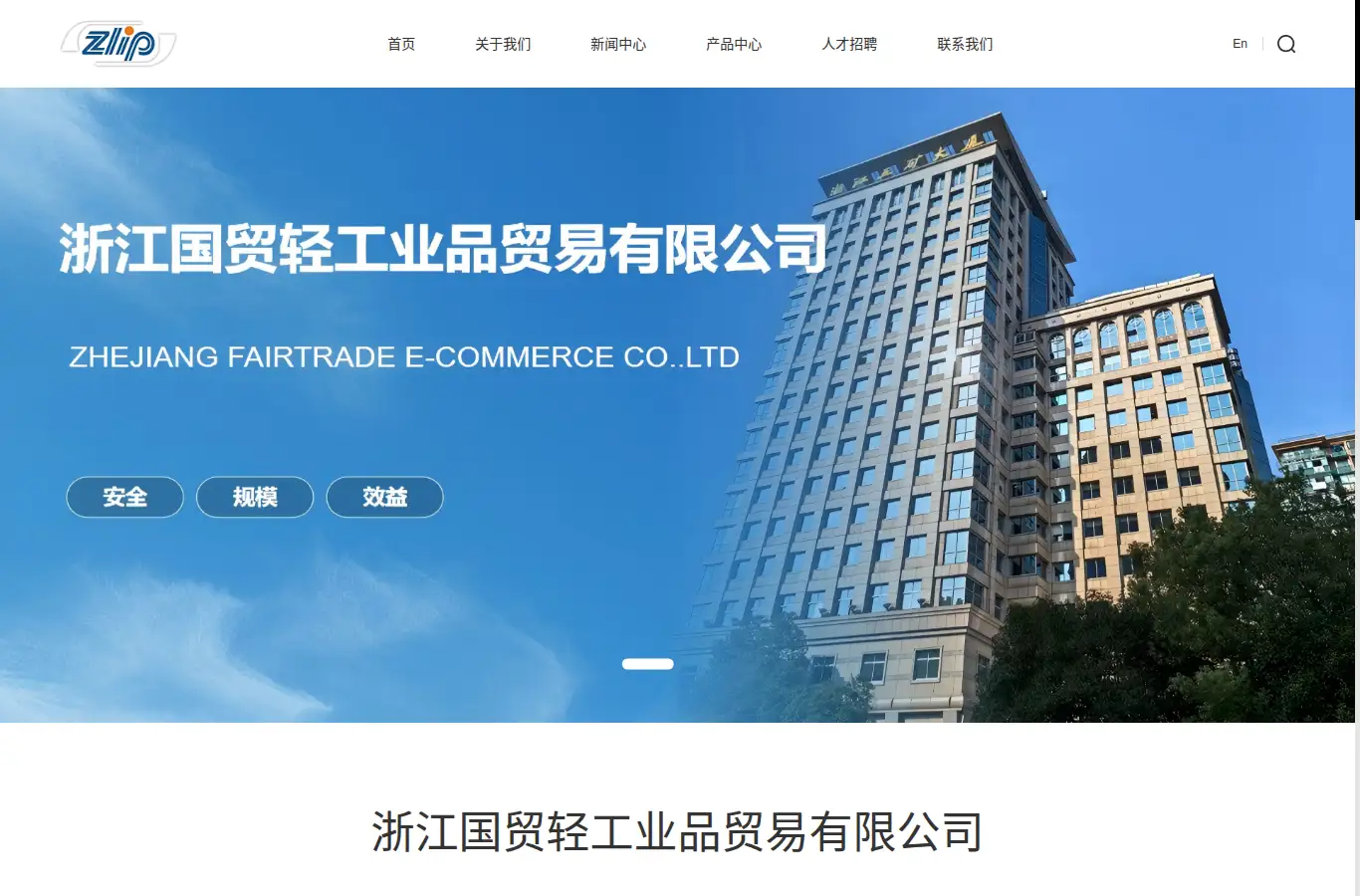 zlip.com.cn homepage screenshot