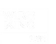 Guangdong Wireking Display Fixture Co., Ltd. logo