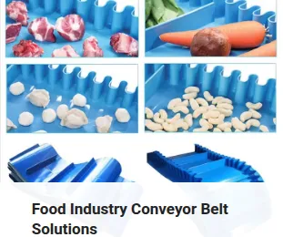 Food Industry Conveyor Belt Solutions