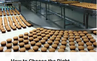 How to Choose the Right Conveyor Belt for the Food Industry? 7 Key Factors Explained