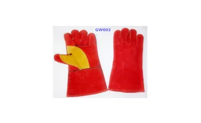 GW003