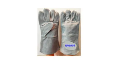 GW001