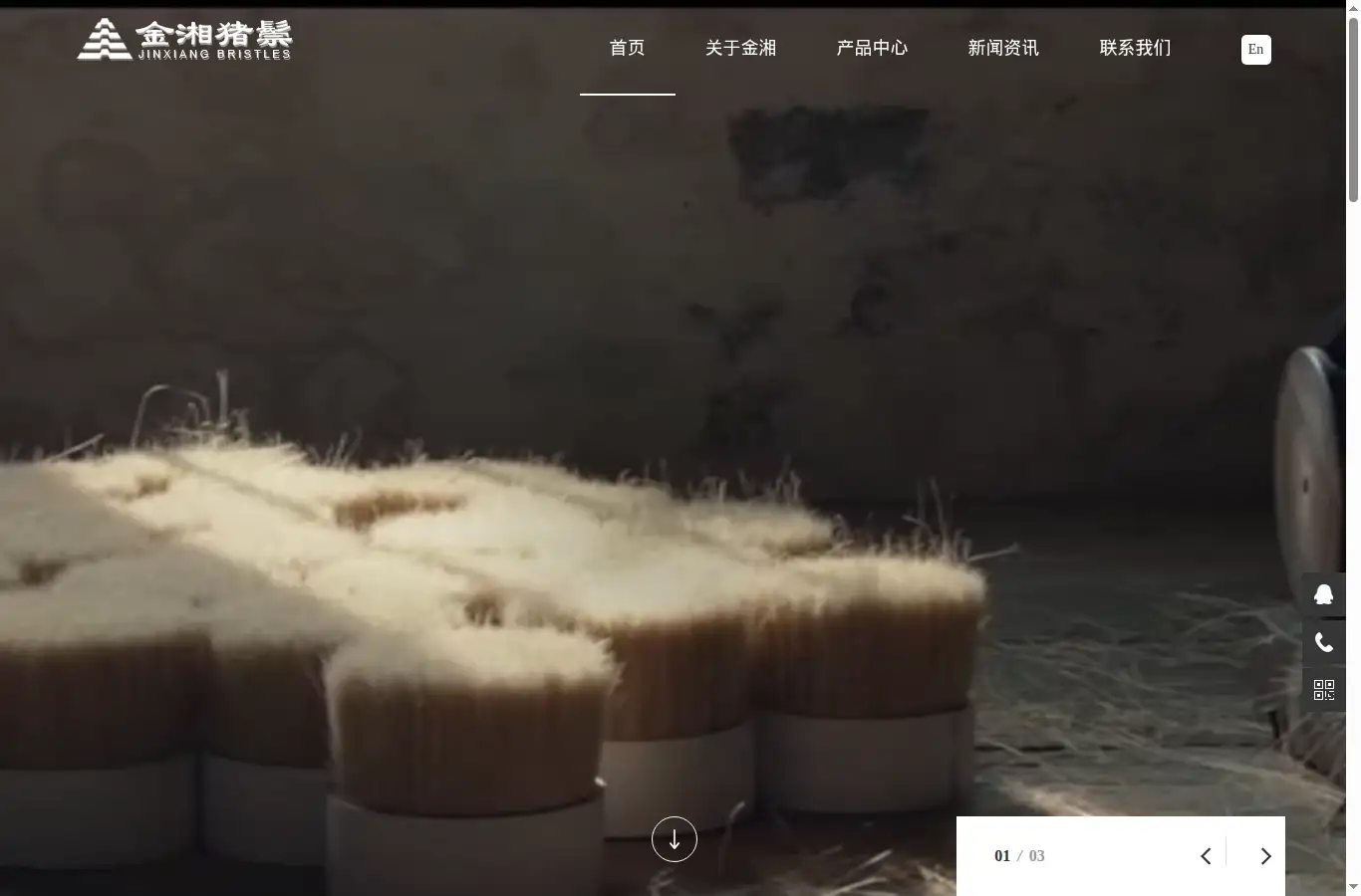 bristles.net homepage screenshot