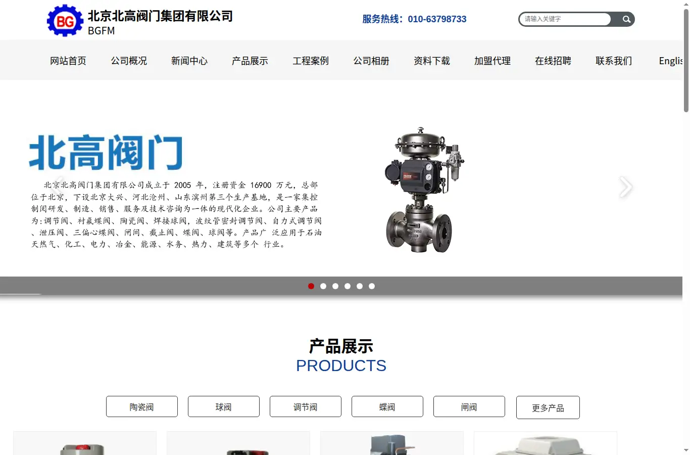 bgvalve.com homepage screenshot