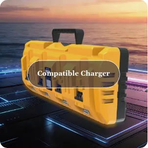 Compatible Charger