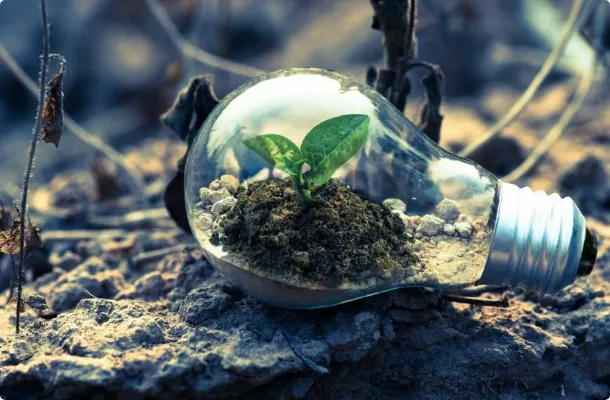 Renewable Energy 1024x576 1