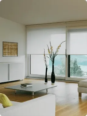 Window & Door Screens