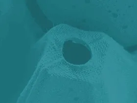 Product photo from the company website