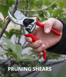 Product photo from the company website