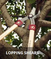 Product photo from the company website