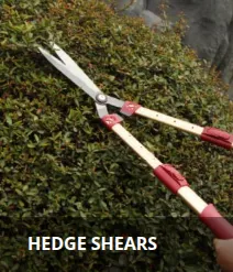 Product photo from the company website