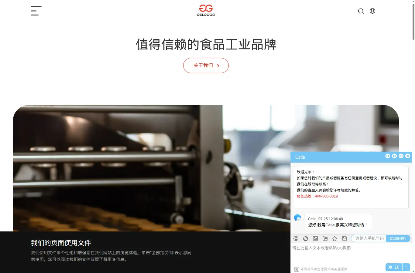 gelgoog.com.cn homepage screenshot
