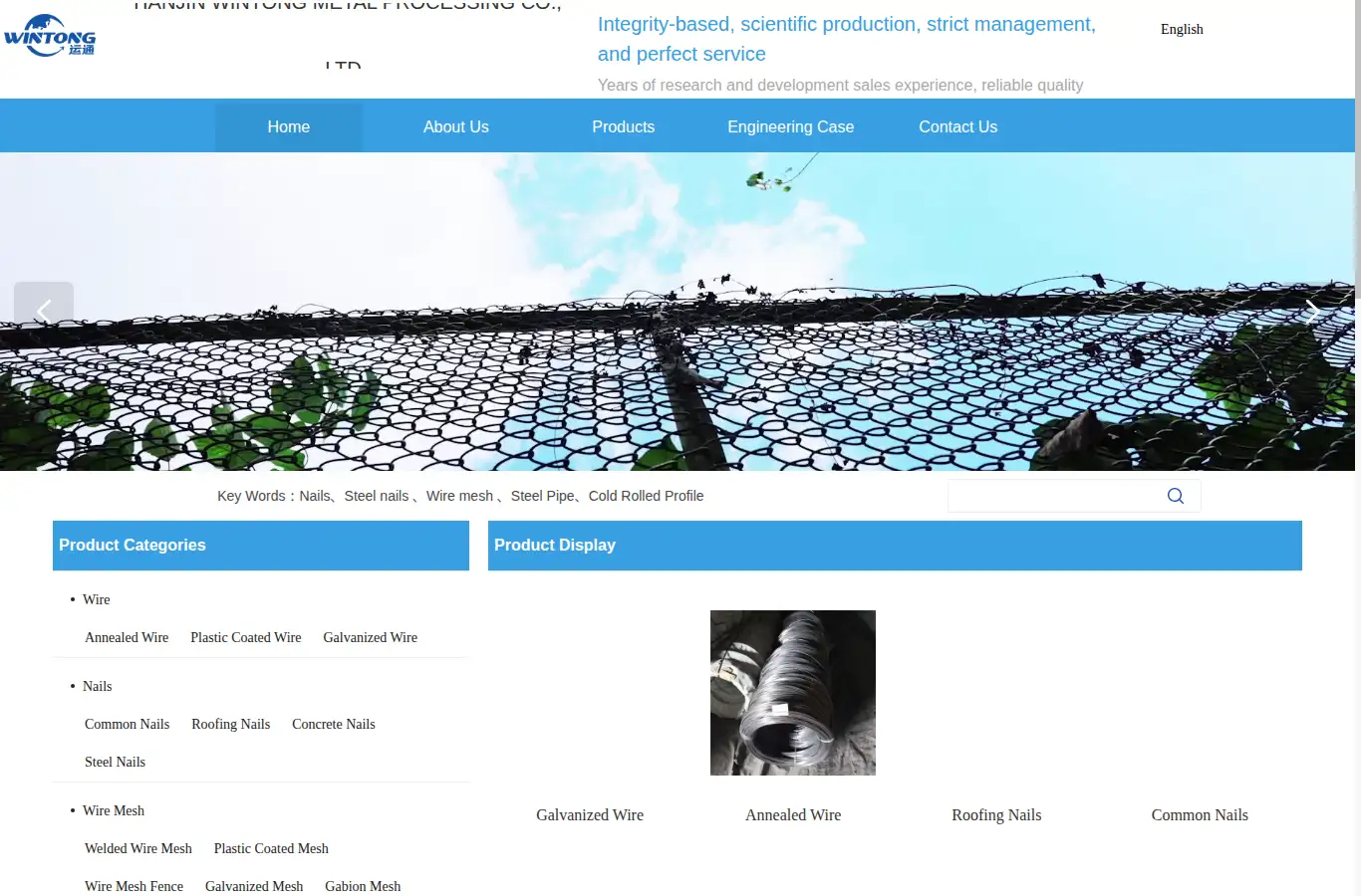 tjwintong.com homepage screenshot