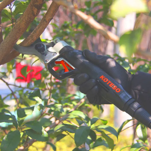 Product photo from the company website