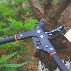 Product photo from the company website