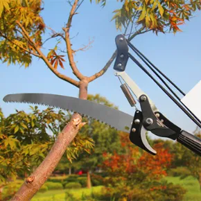 Product photo from the company website