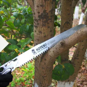 Product photo from the company website