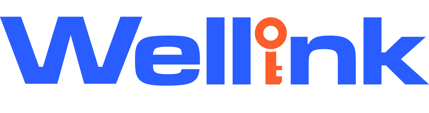 Nanjing Wellink Import & Export Co., Ltd. logo