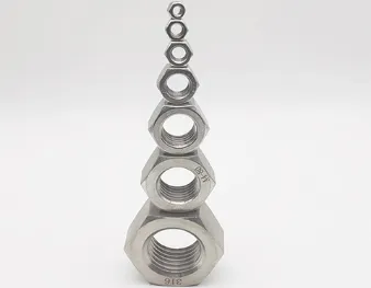 Stainless Steel Nuts