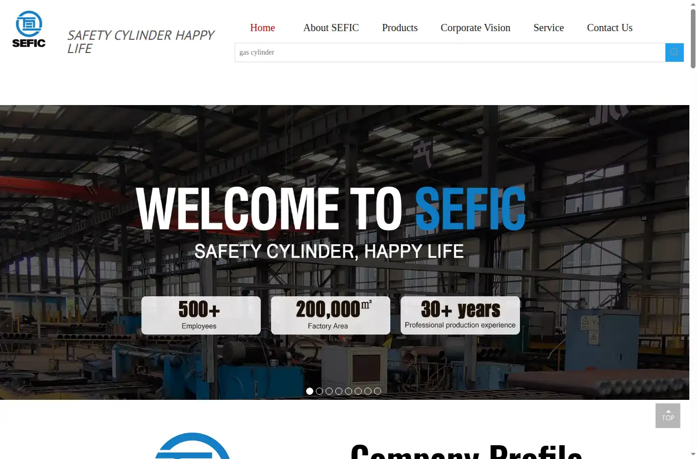 sefic.com.cn homepage screenshot