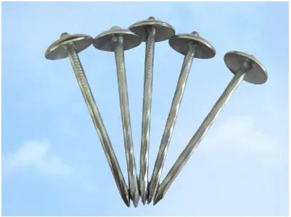 Product photo from the company website
