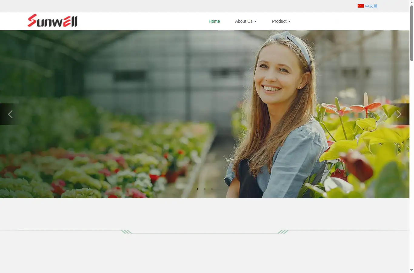 yysunwell.com homepage screenshot