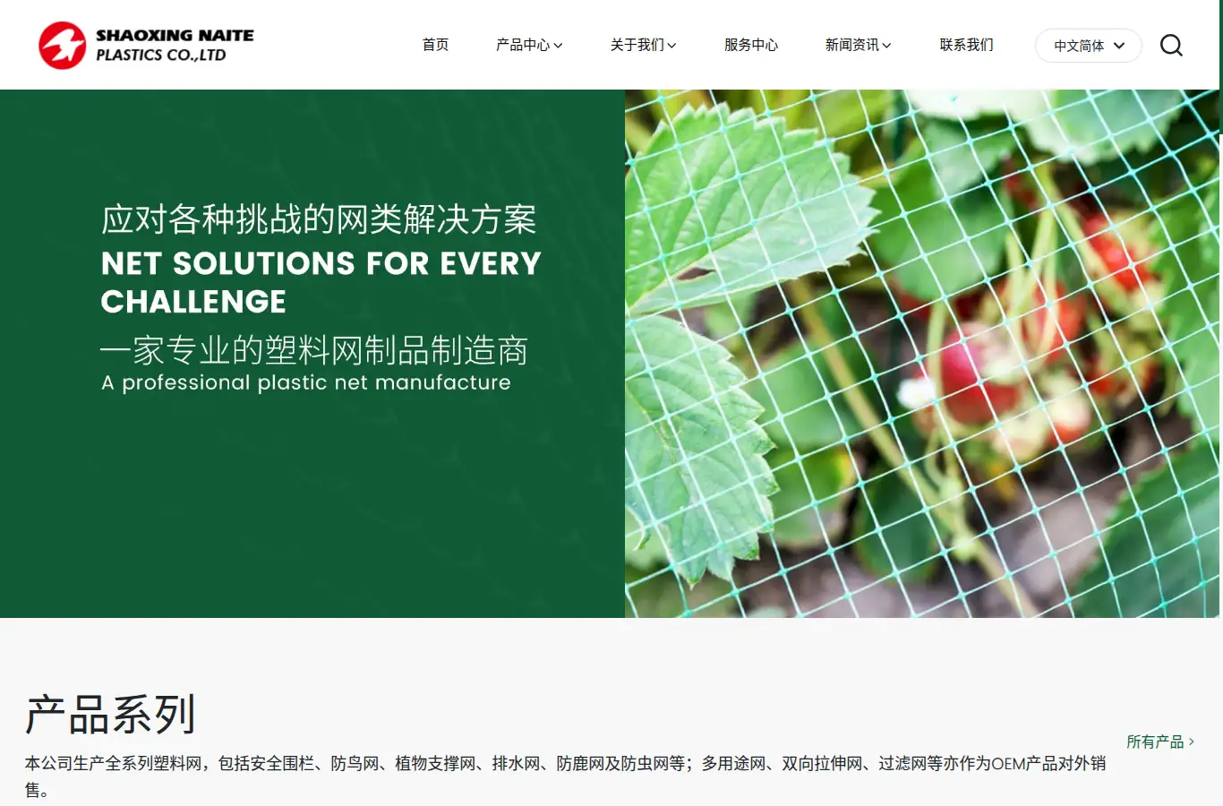 cn.chinanetlon.com homepage screenshot