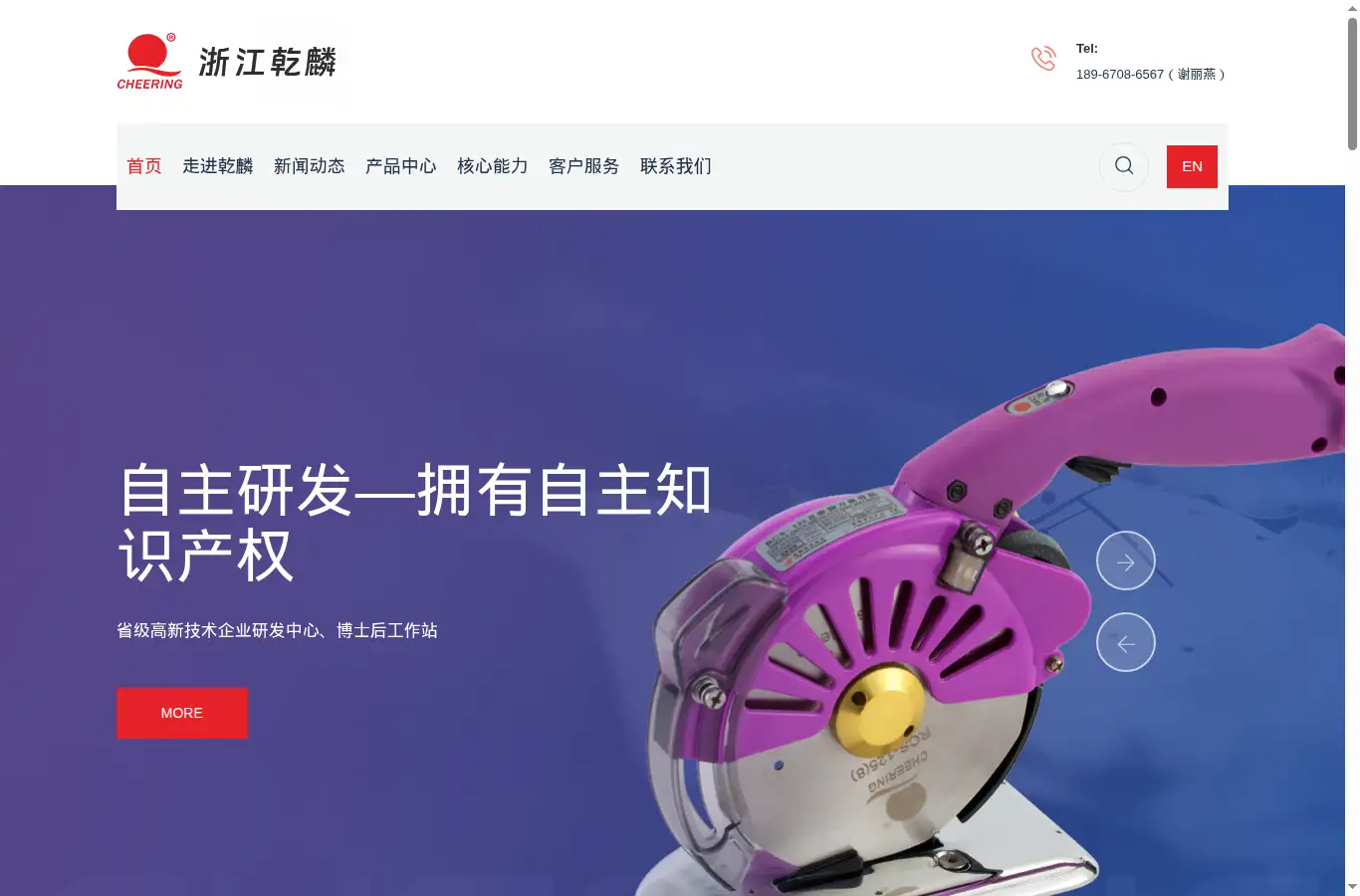 cheeringgroup.com homepage screenshot