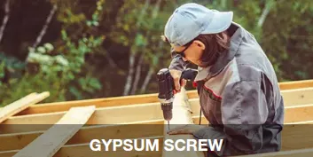  Gypsum  Screw 