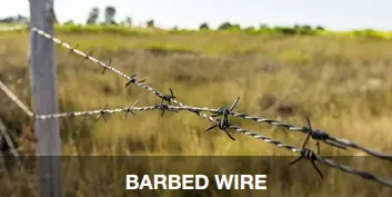 barbed  wire