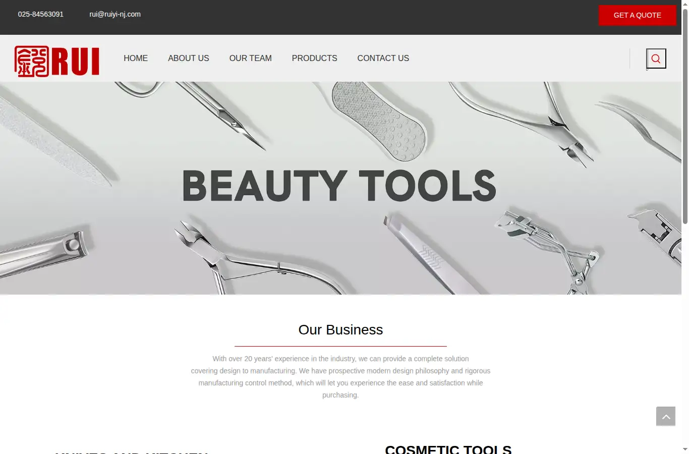 ruiyi-nj.com homepage screenshot