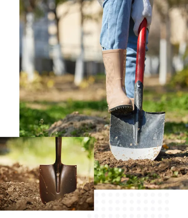 Product photo from the company website