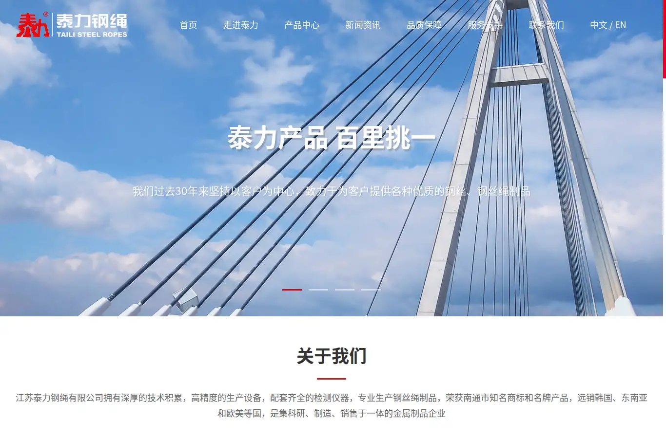 chinataili.cn homepage screenshot