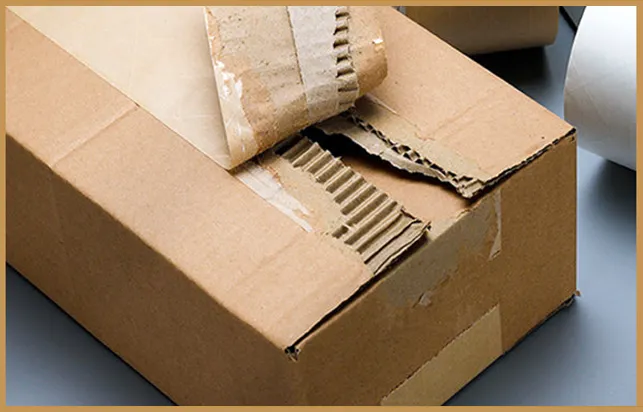 Tamper-Evident Packaging