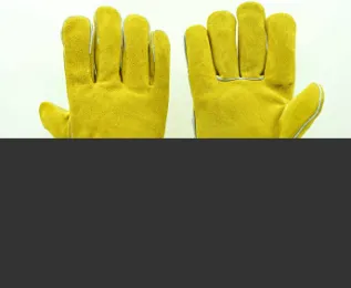 Product photo from the company website