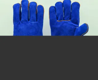 Product photo from the company website