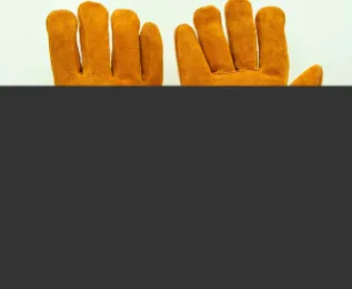 Product photo from the company website