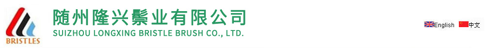 Suizhou Longxin Bristle Brush Co., Ltd. logo