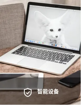 Product photo from the company website