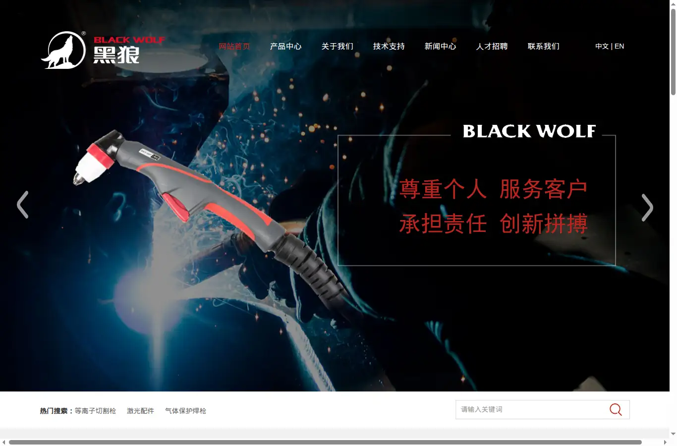 czgg.com homepage screenshot