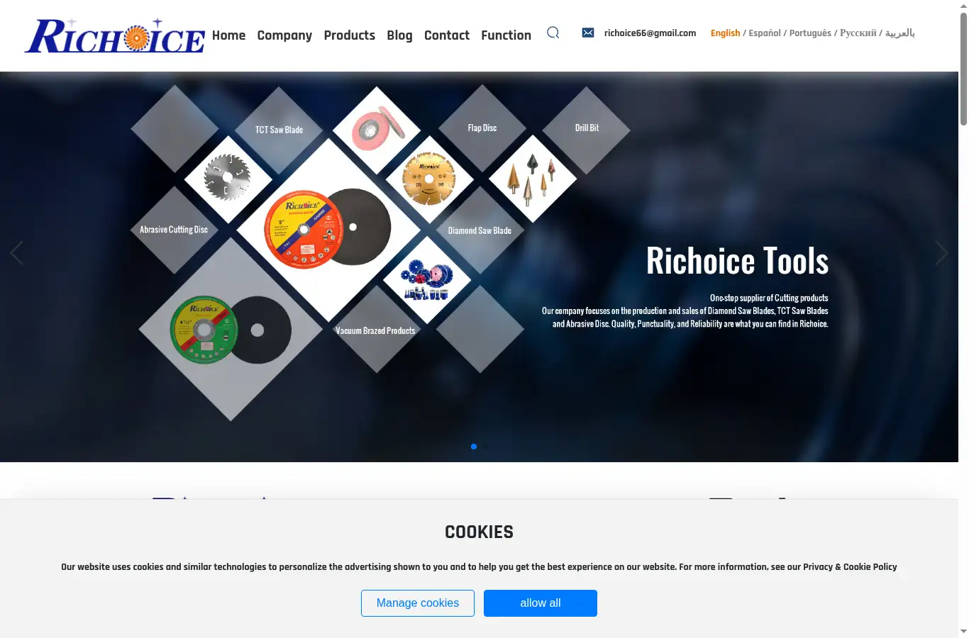 richoice.cn homepage screenshot